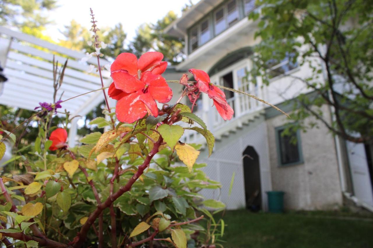 The Hillside B&B. Home W/ Breakfast Service! Wisconsin Dells Buitenkant foto